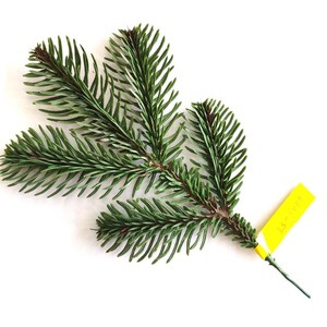 Ramas navideñas Greentree | Ramas <span class=keywords><strong>de</strong></span> plástico <span class=keywords><strong>de</strong></span> pino a la venta - Product Image 3
