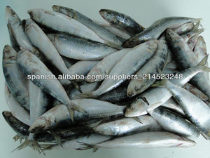Sardina Congelada - Product Image 2
