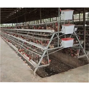 quality and durable capacity 160 birds chicken coops layer battery cage for poultry farming