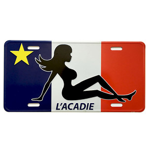 Molde libre de aluminio personalizado placas ocultar la matrícula del coche Japón placas venta al por mayor