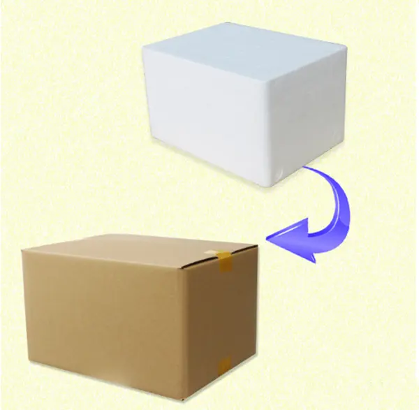 Expandable Polystyrene EPS Foam Styrofoam Cooler Box Price