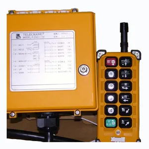 Wireless remote controller for crane and electric hoist