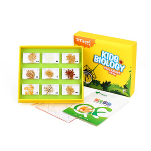Gelsonlab HSKS-2709 grano familia integrado especímenes biológicos enseñanza integrado especímenes - Product Image 1