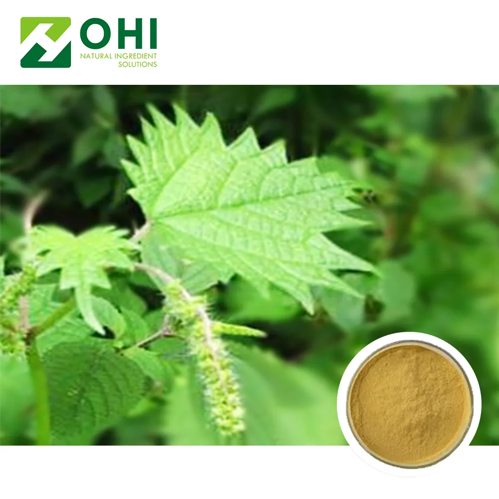 plant extract Nettle root extract