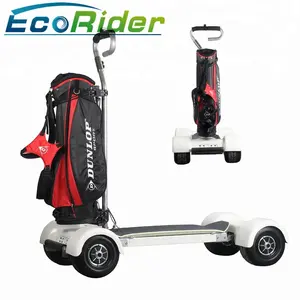 E7-2 10.5inch 1000w Golf Electric Cart which can stand up on also with a handle