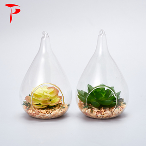 <span class=keywords><strong>Terrarium</strong></span> verre en forme de perle, <span class=keywords><strong>plante</strong></span> d'extérieur, vente en gros - Product Image 5