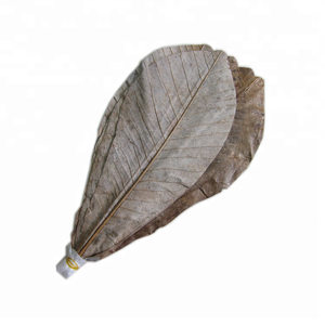 اكسسوارات السوشي أوراق هوبا المجففة - Product Image 2