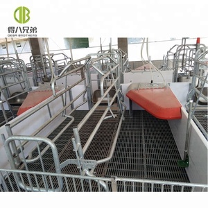 Thiết Kế Mới Farrowing Thùng Phổ Biến Trang Trại Lợn Thiết Kế Chăn Nuôi Lợn Bút - Product Image 4