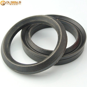 Phụ tùng nặng NBR FKM với con dấu đóng gói vải V cho con dấu interpump ws201 - Product Image 6