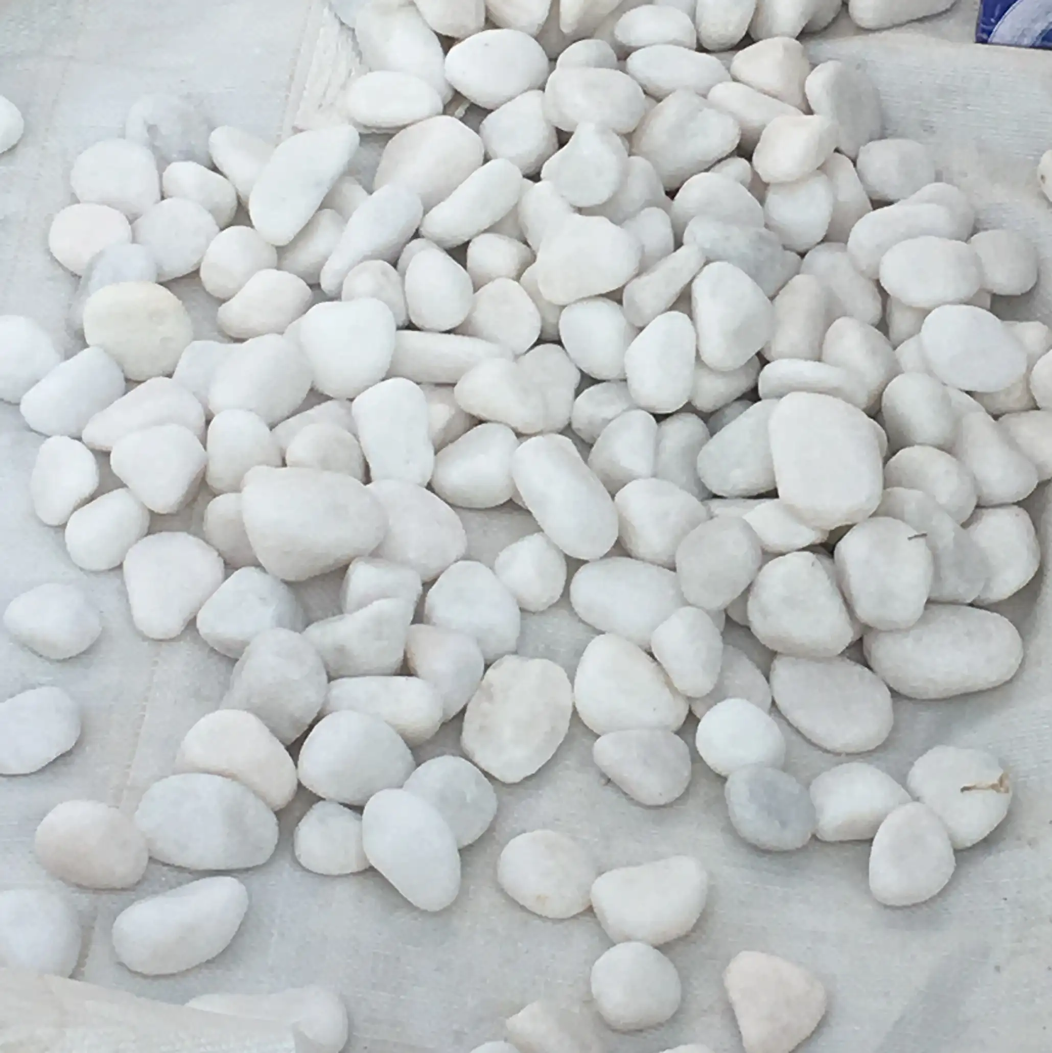 도매 정원 돌 자연 정원 장식 흰색 자갈 강 돌 판매 가격