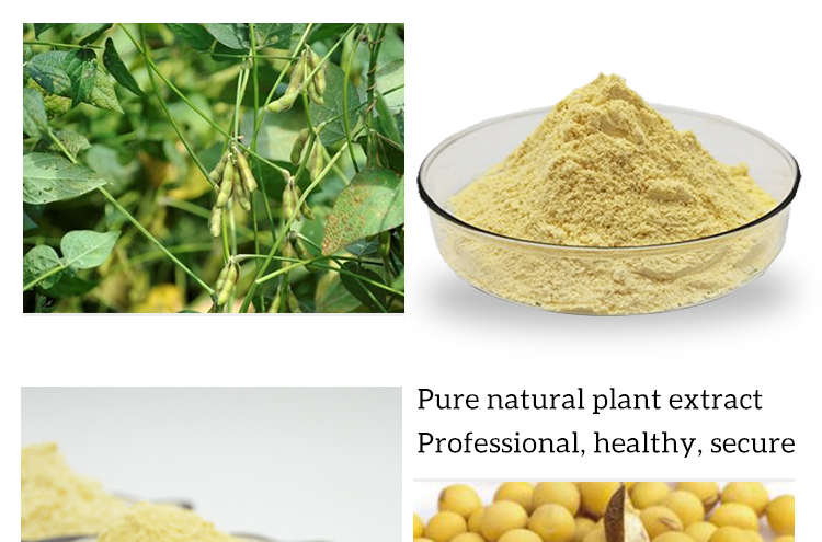 B.C.I की आपूर्ति की खुराक पुनश्च सूरजमुखी बीज/Phosphatidylserine के साथ सोयाबीन निकालने पाउडर