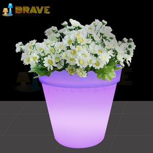 Finition enduite de poudre de pot de fleur rougeoyante de haute qualité de LED pour la maison et le jardin prix Offre Spéciale de petite taille - Product Image 5