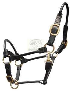 Haute qualité en cuir roulé cheval licou anglais Western Styles bride selle polyvalent cheval équipement personnalisé couleur et Logo - Product Image 2