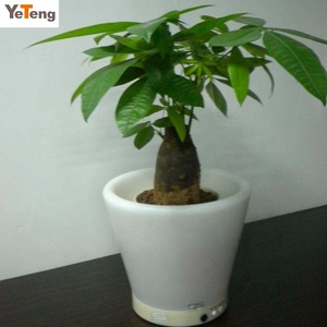 Vasi da Giardino in Plastica Riciclata con LED, Vasi in <span class=keywords><strong>Ceramica</strong></span> con Disegni Dipinti, <span class=keywords><strong>Stampi</strong></span> <span class=keywords><strong>per</strong></span> Vasi da Fiori - Product Image 2