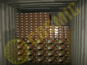 สปอยเลอร์หลังสำหรับ BMW F30 (ซีรีส์ 3 แบบซีดาน) (F3012PF) - Product Image 5