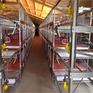 Broiler Chicken <strong>Cage</strong> and Laying Battery <strong>Hens</strong> <strong>Cage</strong> Poultry Farming Equipment - Product Image 3