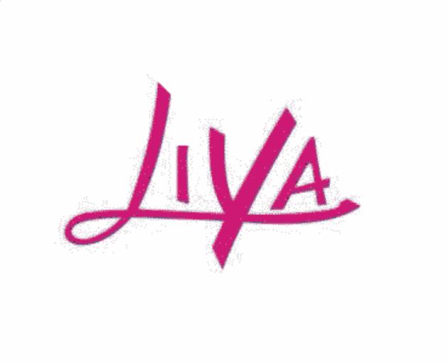 Guangzhou Liya International Ltd logo