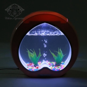 <span class=keywords><strong>2018</strong></span> al por mayor creativo Tailandia Betta Fish Tank de Betta peces vivos - Product Image 3