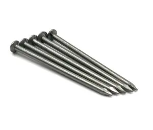 Checked Head Common Round Iron Wire Nails