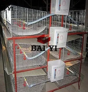 Broiler Rate Battery Chick Cages For Sale(Good Quality And Best Price)