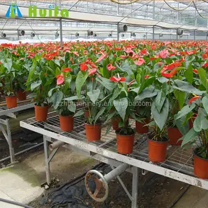 Movable Greenhouse Seeding Nursery Bed Industrial Cultivation Fixed Benches