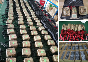 Sa Inventaris Riyadh Magazijn Outdoor Elektronische Dierenoproepen Met 2 Stuks 50W Luidspreker 200 Vogelgeluiden Apparaat Jacht Vogelbellers - Product Image 6