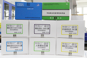 <span class=keywords><strong>AFP</strong></span> Nhanh Chóng Chẩn Đoán ELISA <span class=keywords><strong>Kit</strong></span> Kiểm Tra cho Alpha-feto-protein - Product Image 5