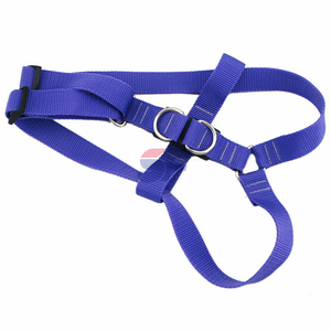 Correa de nailon para perro, producto nuevo, doble reflectante, con logotipo personalizado, marca privada disponible - Product Image 6