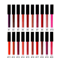 Faible quantité minimale de commande de conception spéciale d'oem 6 couleur rouge à lèvres marque privée liquide rouge à lèvres mat