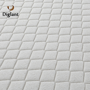 D02 Diglant Gel Bộ Nhớ Bọt Mới Nhất Đôi Duy Nhất Giường Vải Có Thể Gập Lại Vua Kích Thước Túi Mùa Xuân Nệm Cao Su Thiên Nhiên Cho Khách Sạn - Product Image 6