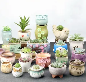 Cute animal series self watering ceramic Succulent flower pots in china Size and shape can be customized