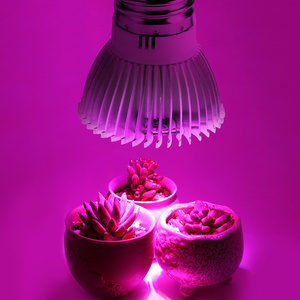 <strong>Best</strong> Sellers Indoor Hydroponic Medical <strong>Plants</strong> Light Artificial Growing Lamp Full Spectrum E27 100w <strong>Led</strong> Grow Light <strong>Bulb</strong> - Product Image 2