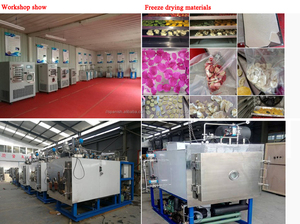Venta al por mayor veneno de escorpión de frutas de vacío secador de congelación máquina de secado - Product Image 5