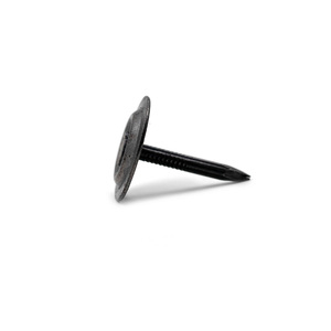 Clous ronds en acier de 3/<span class=keywords><strong>4</strong></span>"-3" avec finition polie, classe <span class=keywords><strong>4</strong></span>, modèle Q 195 pour l'Amérique du <span class=keywords><strong>Nord</strong></span> - Product Image 1