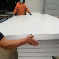 Styrofoam Sandwich Wall Panels for Prefab Houses