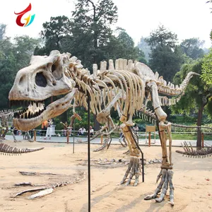 博物馆装饰恐龙化石模型出售