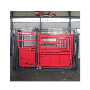Heavy duty Livestock handling equipment for cow