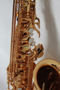 Kèn Alto/Soprano/Tenor/Baritone Trung Quốc - Product Image 5