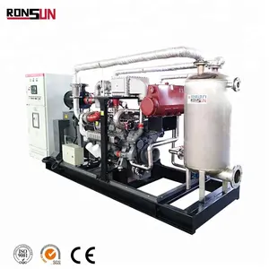 CE Approved 500kva syngas biogas natual lpg bio gas engine power generator for sale
