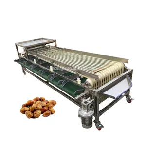 Máquina de clasificación de nueces, ajo, castaño, fresa, xinjiang, jujube