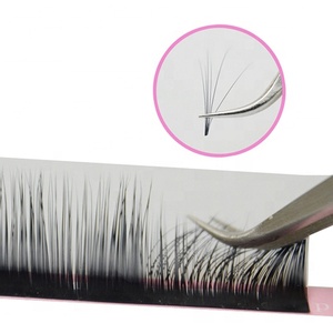 Qeelasee Camellia lông mi mở rộng Matte Đen khối lượng lông mi mở rộng dễ dàng để fan hâm mộ tùy chỉnh loge bán buôn Lash khay - Product Image 4