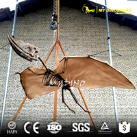 V Early Bird-espécimen de esqueleto, arqueopteryx