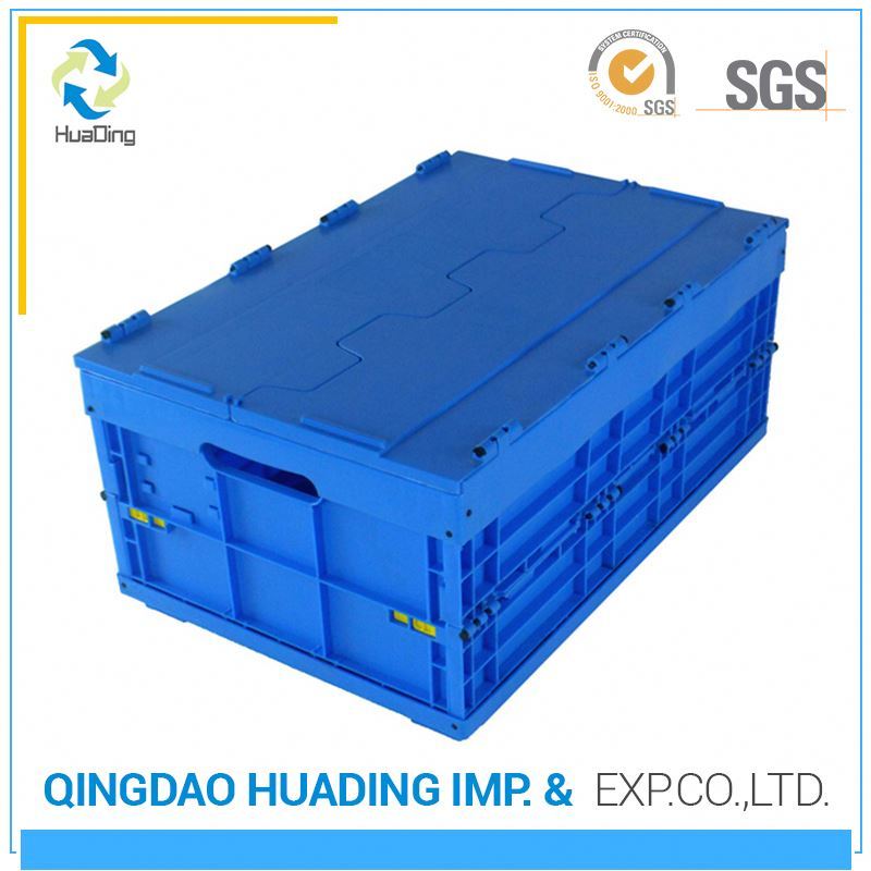 Chino Caja de Envase De Plástico con Tapa integrada Para la Legumbre de Fruta