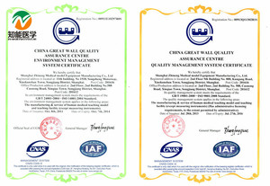 Pengajaran medis CHINON profesional Model otak tengkorak kepala manusia anatomis PVC tahan lama bersertifikat ISO14001 untuk belajar - Product Image 4