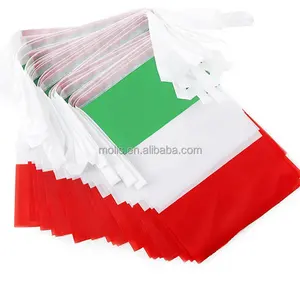 Cheap Stock polyester Mini Italy string bunting flag with rope