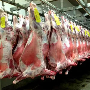 1000 Sheeps per Day Slaughter Line for Halal Slaughterhouse Butcher Equipment Abattoir Machine