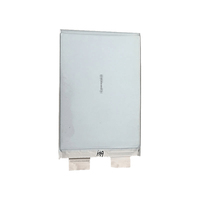 Cella prismatica per Batteria Lipo da 3,2v/3,6v/3,7v 10ah 20ah 30ah 40ah 50ah 60ah 80ah 100ah 200ah LFP/NMC a Sacchetto agli Ioni di Litio