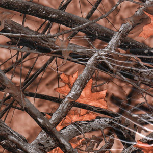 Camouflage PVA Film de transfert d'eau n ° MA740-2 Film <span class=keywords><strong>hydrographique</strong></span> pour <span class=keywords><strong>peinture</strong></span> <span class=keywords><strong>hydrographique</strong></span>, impression liquide, trempage - Product Image 4