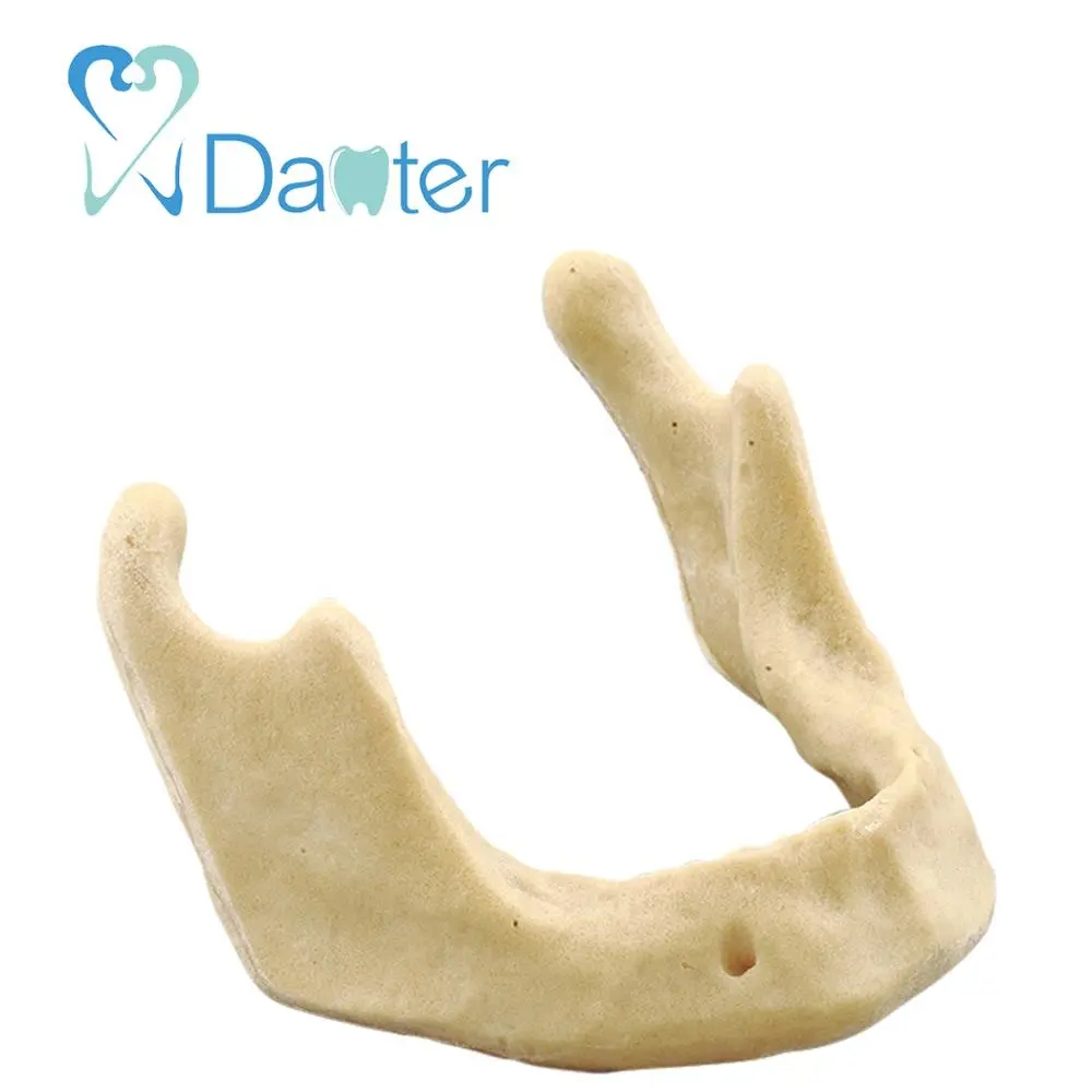 A2022 high quality Drilling Practice Model Jaw for Any Type Practice