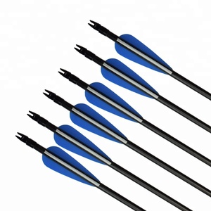 Flèches de chasse en fibre de verre bleues et blanches pour arc et flèche - Product Image 5